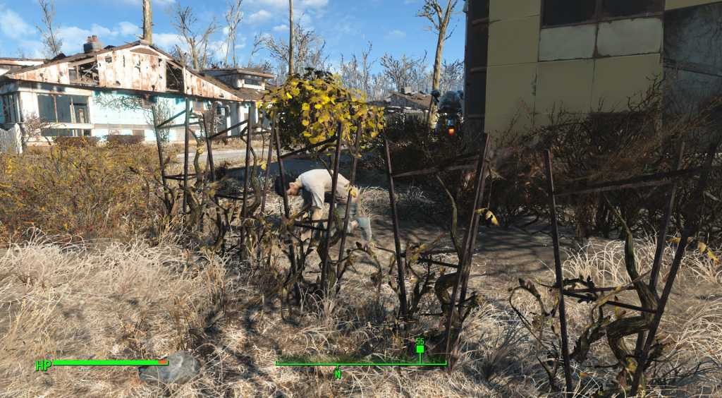 Fallout4SettlementGuideFarming-5-1024x564