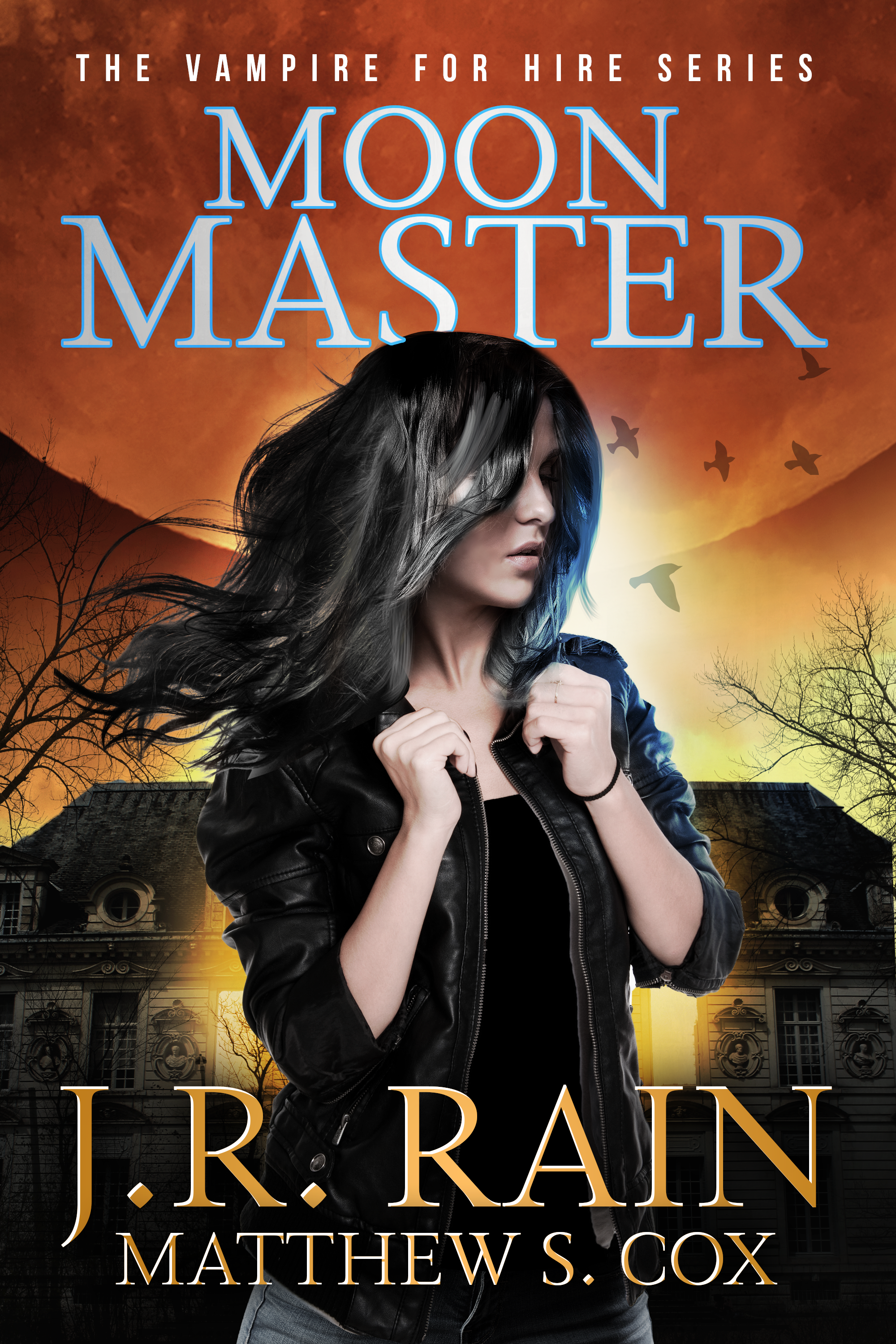 Vampire for Hire book 16